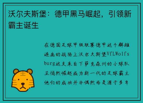 沃尔夫斯堡：德甲黑马崛起，引领新霸主诞生